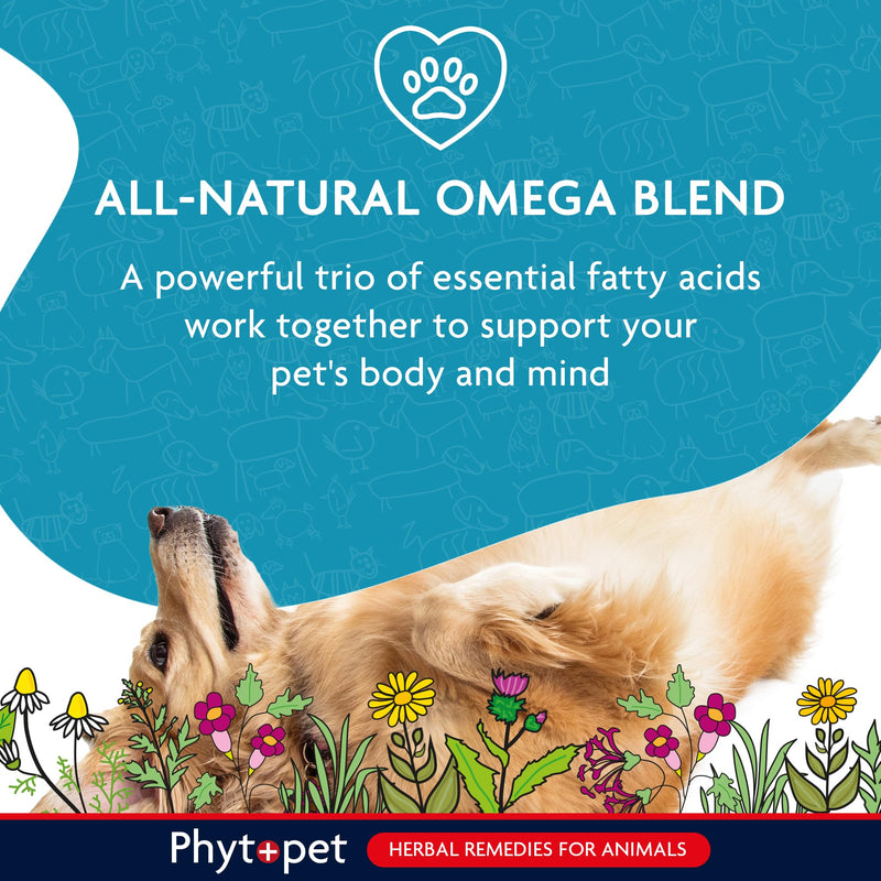 Phytopet Scottish Salmon Oil for Dogs, Cats, Horses and Small Mammals, Contains Omega 3 for Cats and Dogs 500ml - 100% Herbal Phytopet Pet Supplies