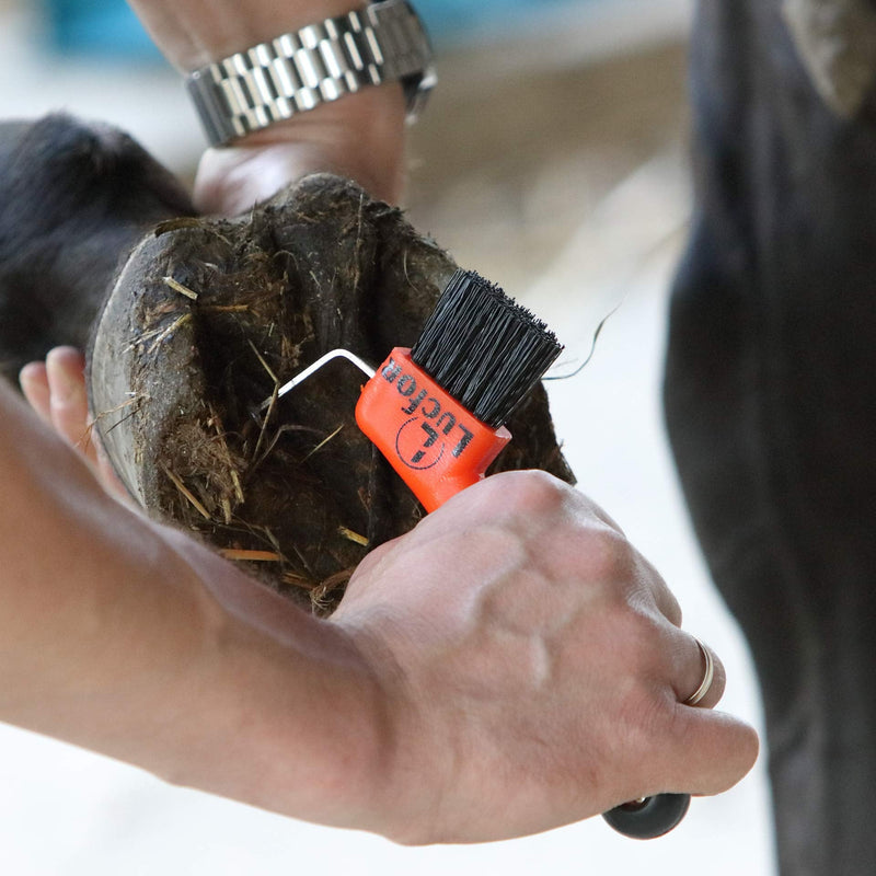LUCFOR hoof scraper for horses with gel handle, 2-in-1 scraper for scraping hooves and brushing, black-orange - BeesActive Australia