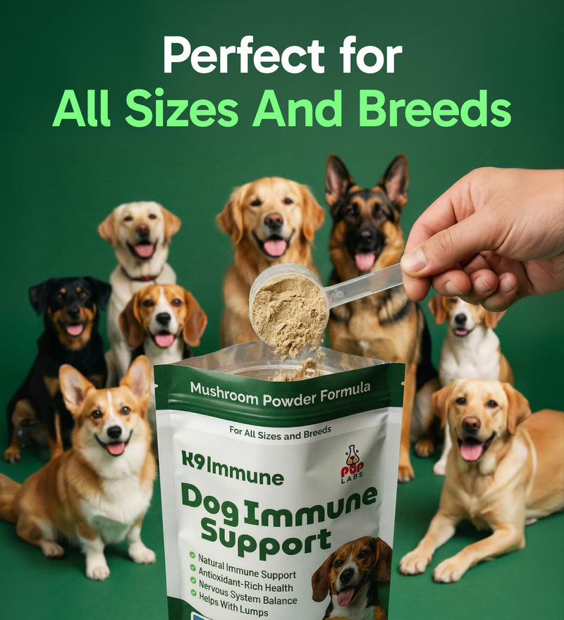 K9 Immune, All-Natural Mushroom Powder for Dogs for Immunity, Digestion, Joints, & Energy, Antioxidant-Rich & USA-Made, Dog Immune Support with Turkey Tail Mushroom for Dogs, 30 Servings