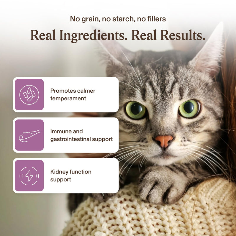 Real Mushrooms Cat Supplement Powder – Organic Mushroom Blend with Antarctic Krill & Ashwagandha – Cat Vitamins for Older Cats or Kittens – 2.65 oz Functional Feline Formula