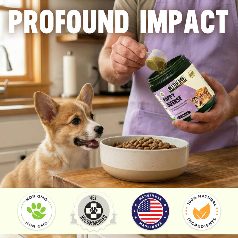 Better Dog Supplements by Cesar Millan® Puppy Defense – Natural Immune Support Powder for Young Dogs – Immunity, Gut Balance, Digestive Health & Early Wellness – 4oz, (60-Day Supply)