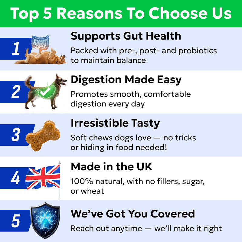 BARK&SPARK Advanced Dog Probiotics for Gut Health - Pre, Post & Probiotic Treats - Dogs Digestive Health Sensitive Tums Support - All Breeds & Ages - Probiotics for Dogs (180 Ct) 180Ct Probiotic Treats
