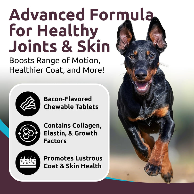 K9 Select Joint Support for Dogs with BiovaPlex - Glucosamine Alternative - 90 Chewable Tablets - Dog Joint Supplement For Mobility & Flexibilty - Hip & Joint