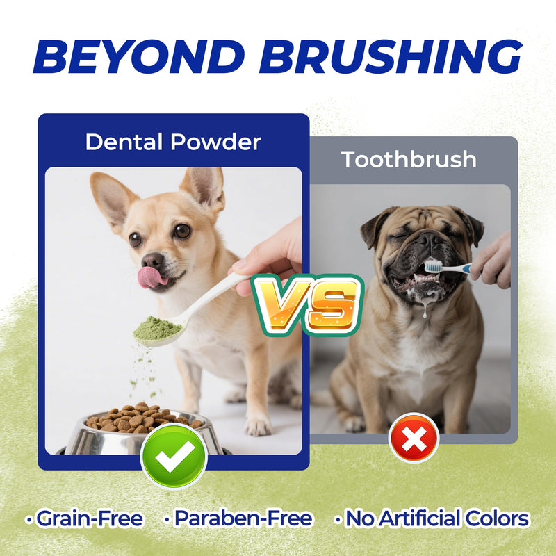 Wellix 250g Dog Teeth Cleaning Powder - Dog Dental Care Powder and Cat Breath Freshener - Plaque and Tartar Remover with Enzymes & Mint for Dogs & Cats of All ages and Breeds