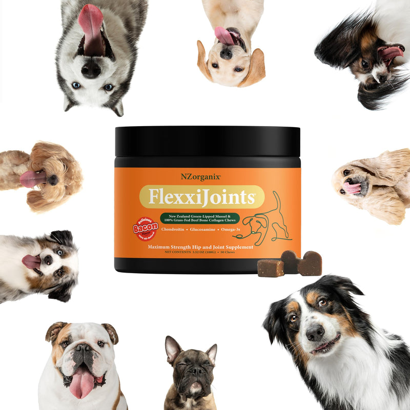 NZorganix FlexxiJoints Hip and Joint Supplement Chews for Dogs, Cats • 100% Grass-Fed Beef Bone Collagen New Zealand Green-Lipped Mussels • 100 Chews
