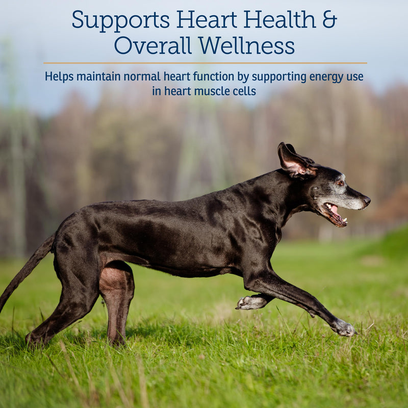 Rx Vitamins LiquiCarn - Pure L-Carnitine for Dogs and Cats to Aid in Dog Weight Loss - Provides High Energy and Helps in Metabolism - Supports Heart Health - 4oz (Bacon-Liver Flavor) New Label