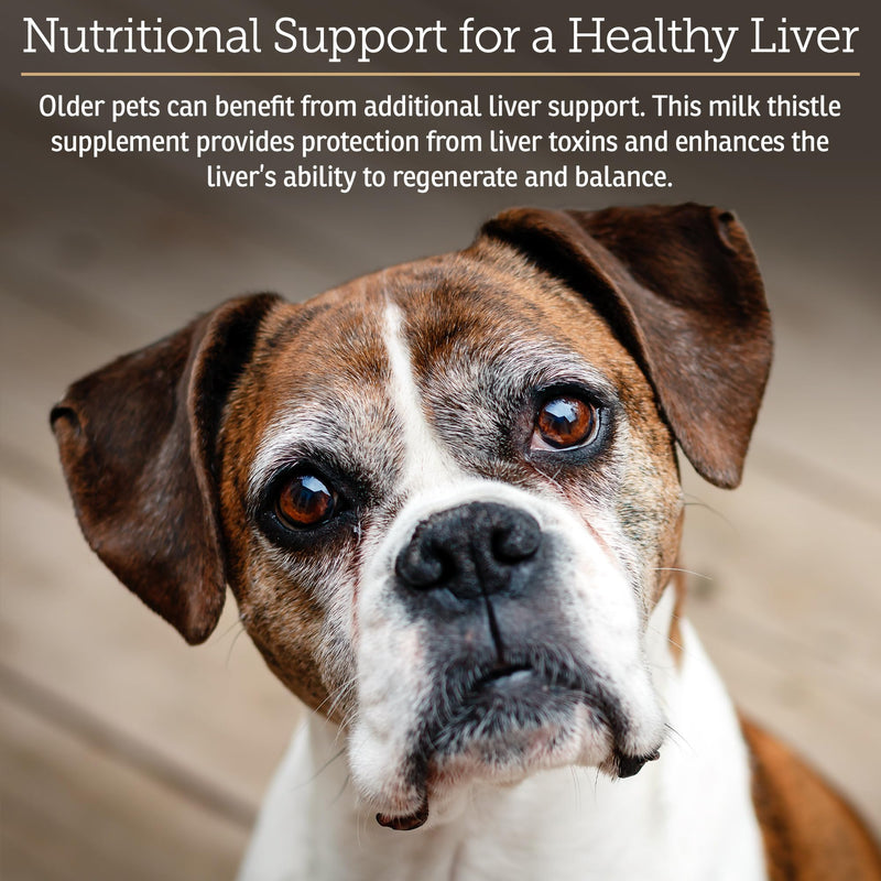 Rx Vitamins Hepato Support for Dogs & Cats - Liver Support Supplement with Milk Thistle - Boosts Liver Detox for Senior Pets - 90 ct New Label