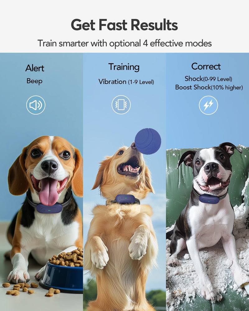 Dog Shock Collar with Remote Control - [2024release] Training Collar IPX7 Waterproof Rechargeable E Collar, 1/2 Mile Beep Vibration Safe Shock Collars for 10-120 lb Small Medium Large Dogs Purple - BeesActive Australia