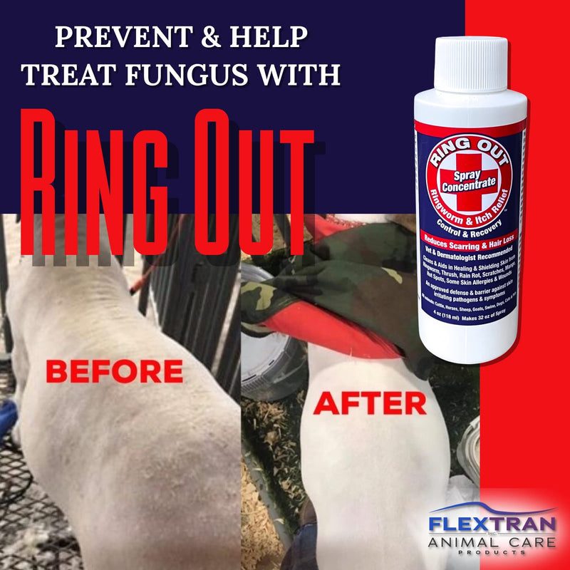 Ring Out - Spray for Skin Irritants on Animals. For Cats, Dog, Sheep, Goats, Cattle , Horses, All Pets & Livestock 4 oz. Make 32 oz (2 pack) - PawsPlanet Australia