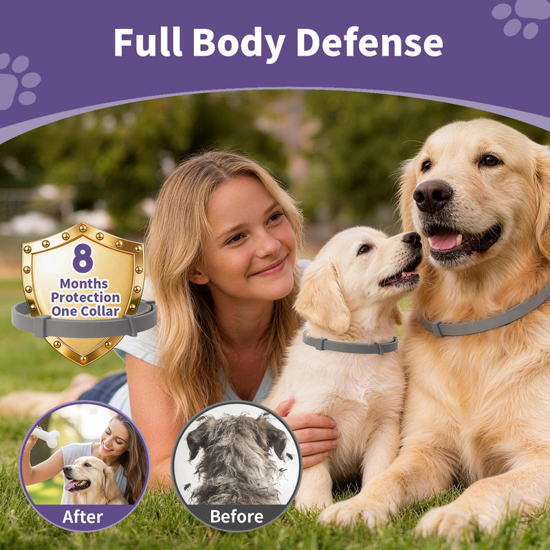 Wiiks&Wooks Flea and Tick Collar for Dogs, 5 Packs Flea Collar for Dogs for 40 Months Protection, Waterproof & Adjustable Flea and tick Prevention Collar for Small Medium Large Dogs & Puppies, Grey 5 Pack Flea Collars