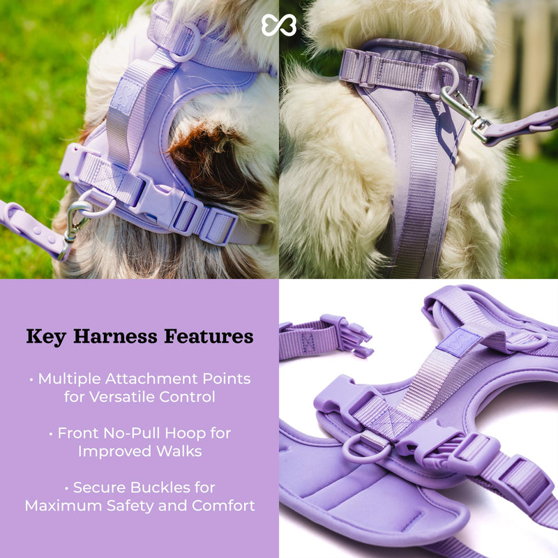 Adjustable Dog Harness with Handle | BearBone No Pull Dog Vest Harness | Front Clip Harness for Dogs | Best Dog Harness for Walking and Training | Medium Dog Harness | Lilac Dog Harness - BeesActive Australia