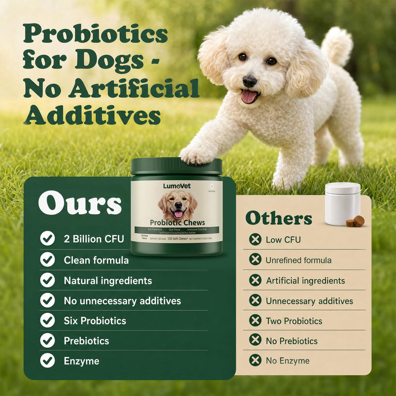Probiotics for Dogs - with Prebiotics & Digestive Enzymes, Support Gut Digestive Health, Relief Occasional Diarrhea, Bloating & Constipation - Canine Gut Health Supplements 120 Chews(Chicken)