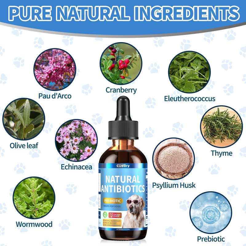Natural Antibiotics for Dogs, Herbal Dog Antibiotics Supplement with Prebiotics for Dog Allergy Itch Relief Cough Immune Support Dog UTI Comfort for All Breeds and Ages-Chicken Flavor | 2 fl oz