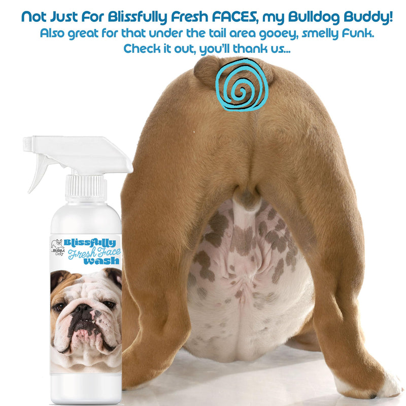 The Blissful Dog Blissfully Fresh Face Wash - Cleans Facial Folds and Wrinkles, 4-Ounce, Bulldog 4 Fl Oz (Pack of 1) - PawsPlanet Australia