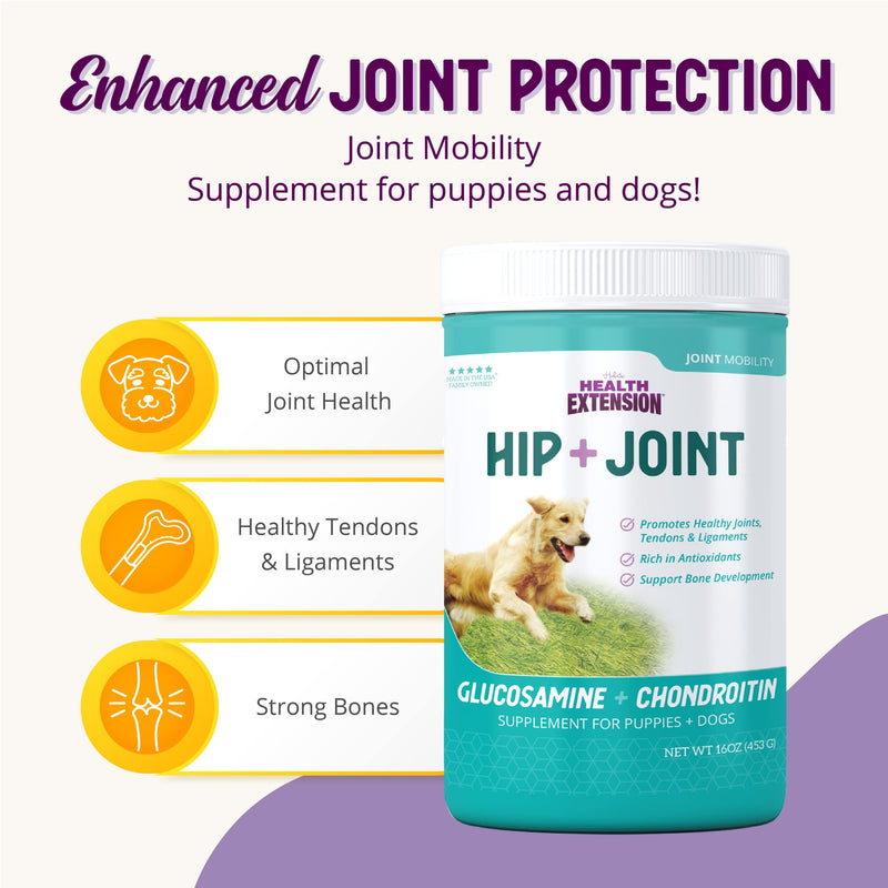 Health Extension Chondroitin with Glucosamine for Dogs, 8oz - Arthritis Pain Relief, Joint & Hip Supplement, Cheese Flavored Powder 8 Oz