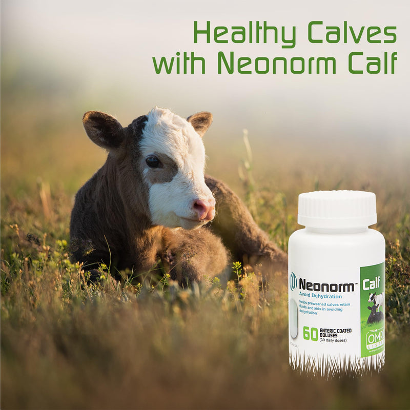 Jaguar Animal Health Neonorm Calf - Enteric Coated Supplement Boluses for Proper Hydration & Bowel Health - Plant-Based Product for Pre-Weaned Calves (60 Count) 60 Count - BeesActive Australia