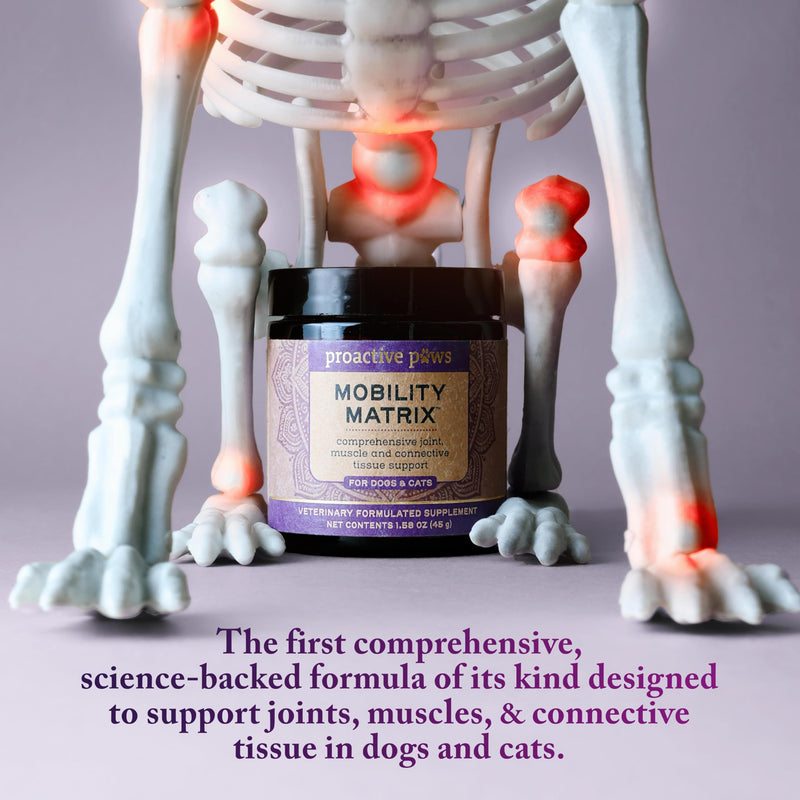 PROACTIVE PAWS Mobility Matrix™ for Dogs and Cats, with Creatine, Glucosamine, MSM, Eggshell Membrane Collagen and Hyaluronic Acid, Joint and Muscle Support Supplement