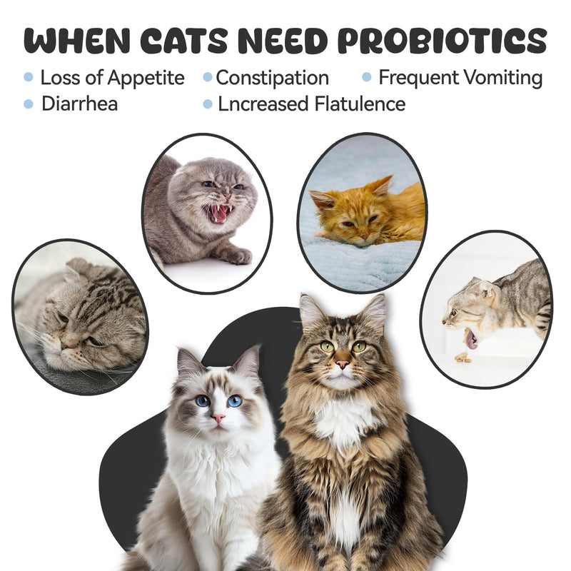 Probiotics for Cat, Boosts Immune System, Improves Digestion, Supports Gut Health, Relieves and Prevents Diarrhea and Soft Stools, Salmon-Flavored Chewable Tablets - 30 Tablets (120g)