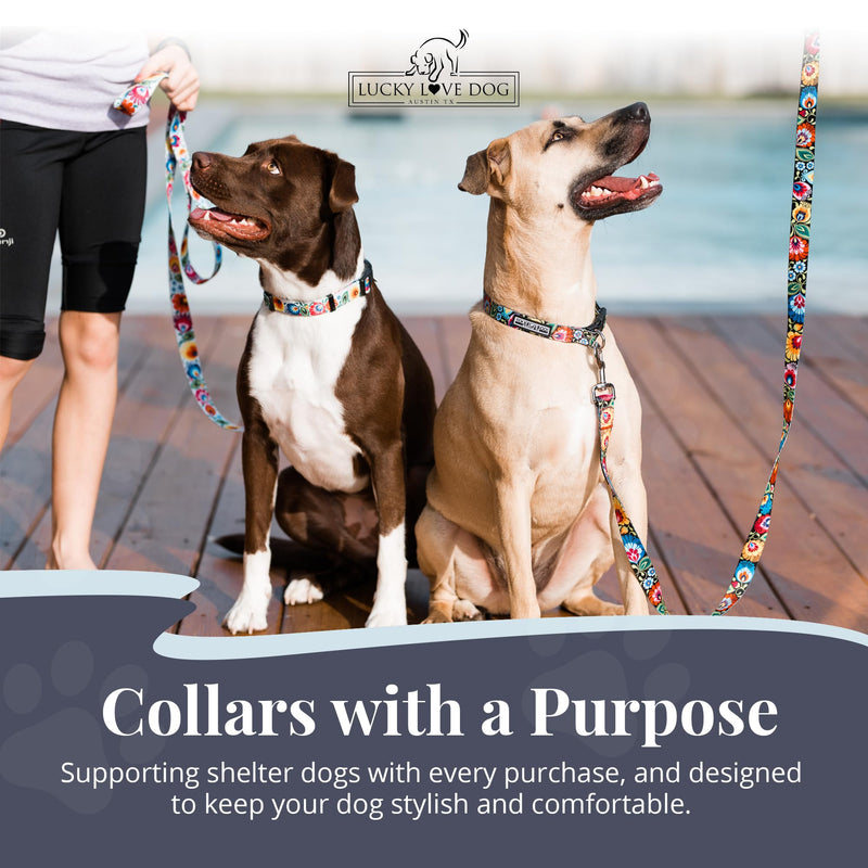Lucky Love Dog - Adjustable Dog Collar with Easy Click Buckle for Small to Large Dogs, Durable, & Comfortable Collar for Male & Female Dogs, Pet Collar for Puppies & Adult Dogs - Blackbird, Medium Medium | 13-21" Blackbird Collar Only - BeesActive Australia