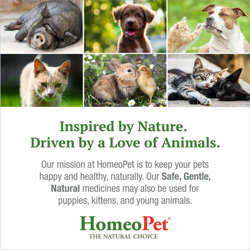 HomeoPet Digestive Upsets, Natural Pet Digestive Support, Digestive Supplement for Dogs, Cats, and Small Pets, 15 Milliliters 15mL - BeesActive Australia