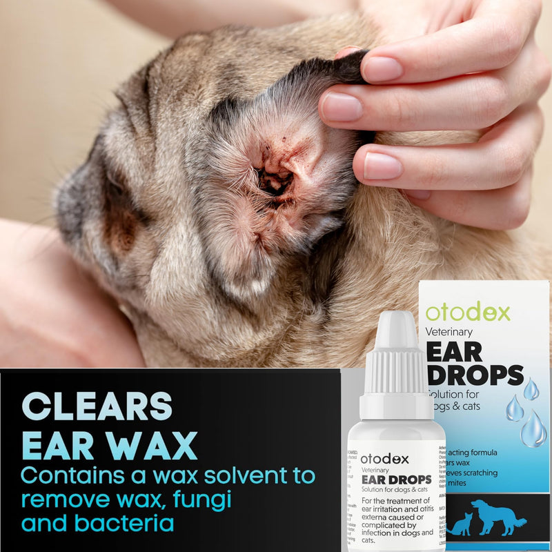 Dog Ear Cleaner | Dog Ear Drops | Ear Drops For Dogs | Ear Mite Treatment For Dogs | Cat & Dog Ear Infection Treatment | Ear Cleaner For Dogs UK | Dog & Cat Itchy Ear Treatment – 2 Packs Sold by UMDA