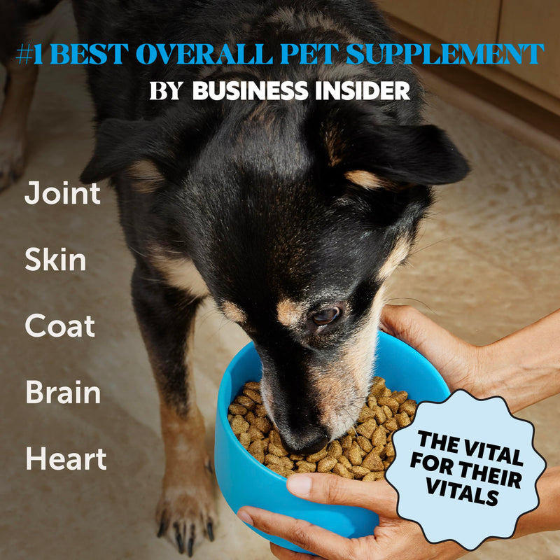 PetHonesty Omega 3 Fish Oil Supplement for Dogs & Cats (32oz), Wild Caught Omega 3 Fish Oil for Skin and Coat Health, Supports Shedding, Skin & Coat, Immunity, Joint, Brain & Heart, EPA + DHA 32oz - PawsPlanet Australia