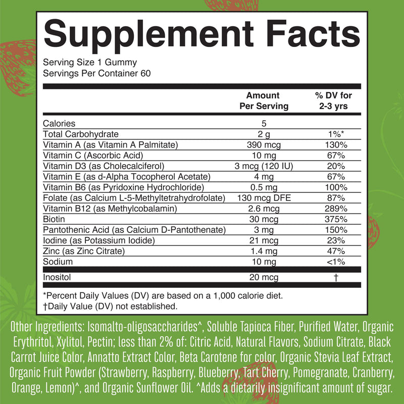 MARYRUTH'S Toddler Multivitamin Gummies, Sugar-Free,2 Month Supply, Ages 2+ | 2 Month Supply Multivitamin with Vitamin C, D3, Zinc, 1 Gummy Per Day, Toddler Vitamins, Vegan, Non GMO, 60 Count