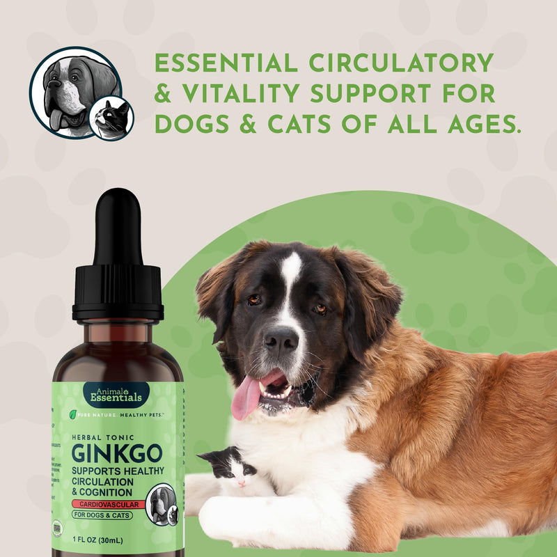 Animal Essentials Ginkgo Herbal Tonic for Dogs & Cats - Liquid Ginkgo Biloba Supplement, Supports Heart & Cognitive Health, Natural Senior Pet Support, Rich in Antioxidants - 2 fl oz 2 Fl Oz (Pack of 1)