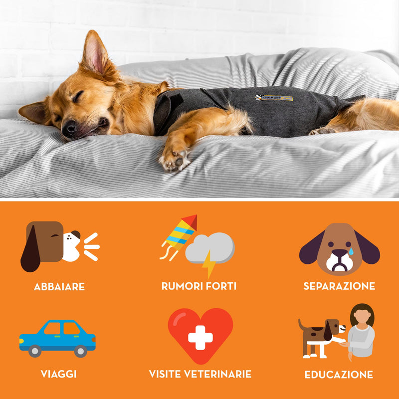 THUNDERSHIRT L 18-29 kg (NDR) - BeesActive Australia