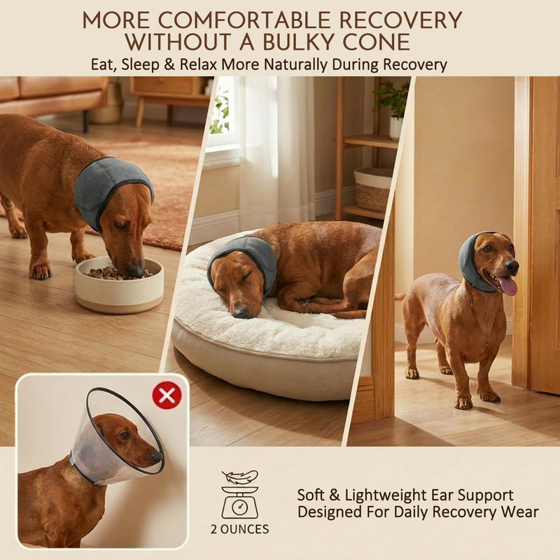 HOFi No-Shake Ear Wraps for Dogs: Reduce Ear Shaking by 95% During Hematoma Recovery - Secure No-Slip Fit After Surgery - Cone Alternative for Dachshund/Westie/Shiba Inu Small Breed