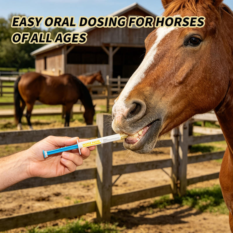 Paste 1.87% – Apple Flavored – 6.08g Tube – for Horses Up to 1250 lb - 3 Pack