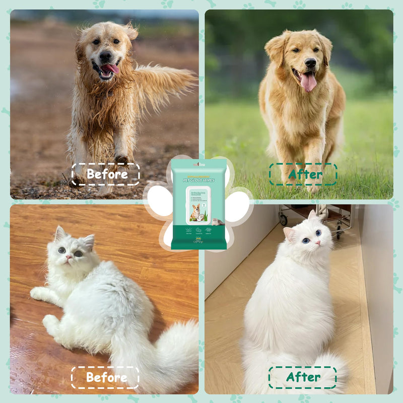 Pet Cleaning and Deodorizing Bathing Grooming Glove Wipes for Dogs and Cats, Extra Thick Nourish Fur No-Rinse Grooming Wipes for Daily Care and Travel, Hypoallergenic, 10 pcs Coconut Scent 10PCS - BeesActive Australia