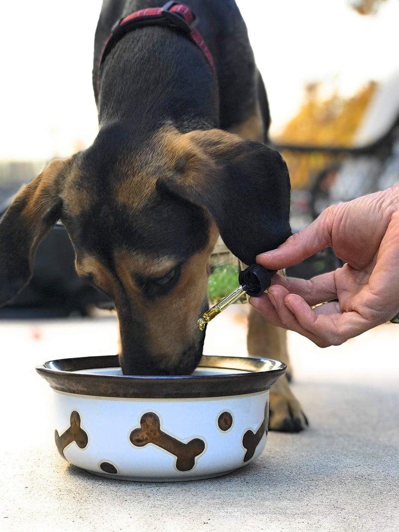 Homescape Pets - Daily Thrive - Hemp & Turmeric Oil for Cats & Dogs - Anti-Inflammatory, Calms Aches & Pain - Enhances Energy, Supports Immune System - with Organic Curcumin