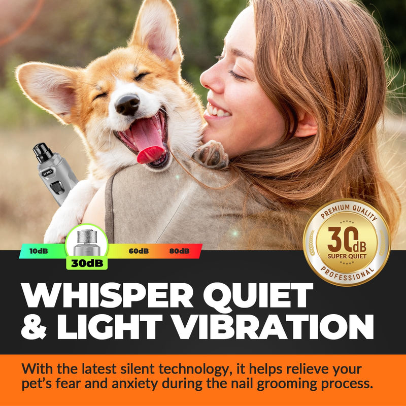 Dog Nail Grinder with 2 LED Lights Powerful 2-Speed Dog Nail Trimmers with 3 Grinding Wheels Super Quiet Rechargeable Pet Dog Nail Clipper Kit for Large Medium Dogs Cats Nail Care Light Grey 🟦🟦🟦Light Grey🟦🟦🟦 - BeesActive Australia