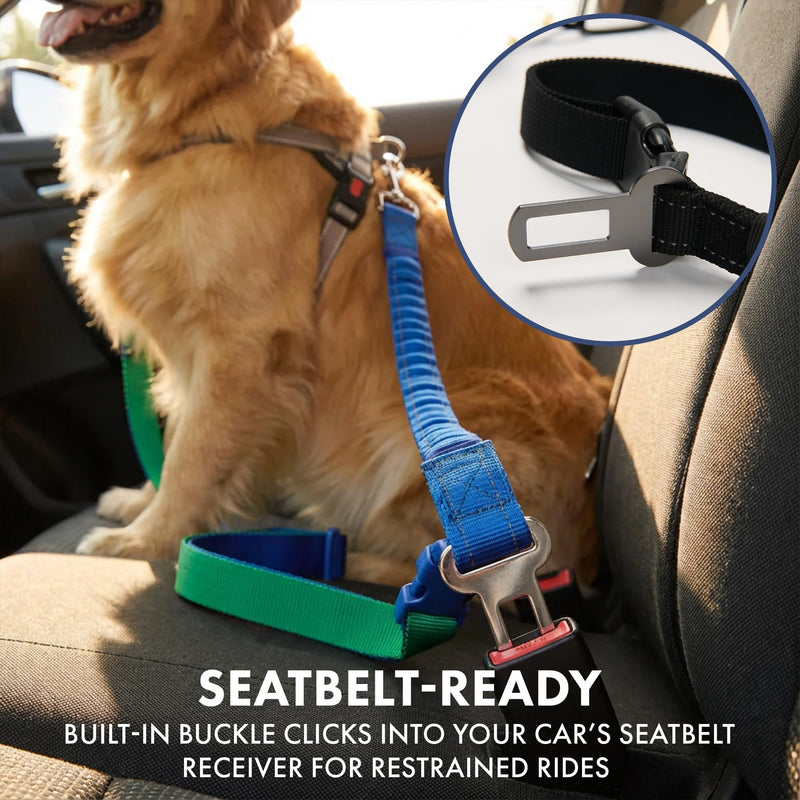 Spark Paws Handsfree Dog Leash – Shock Absorbing Waist Bungee Lead for Running, Car Seatbelt Clip & Poop Bag Set, Heavy Duty Tactical Lead for Medium, Large & X-Large Breeds - Black - BeesActive Australia