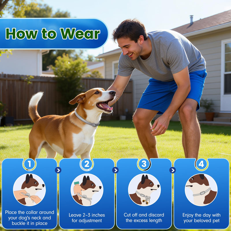 KOOSA Flea and Tick Collar for Dogs, 2 Packs Flea Collar for Dogs with Natural Essential Oils, Waterproof & Adjustable Flea and Tick Prevention Collar for Small Medium Large Dogs & Puppies, Grey 06