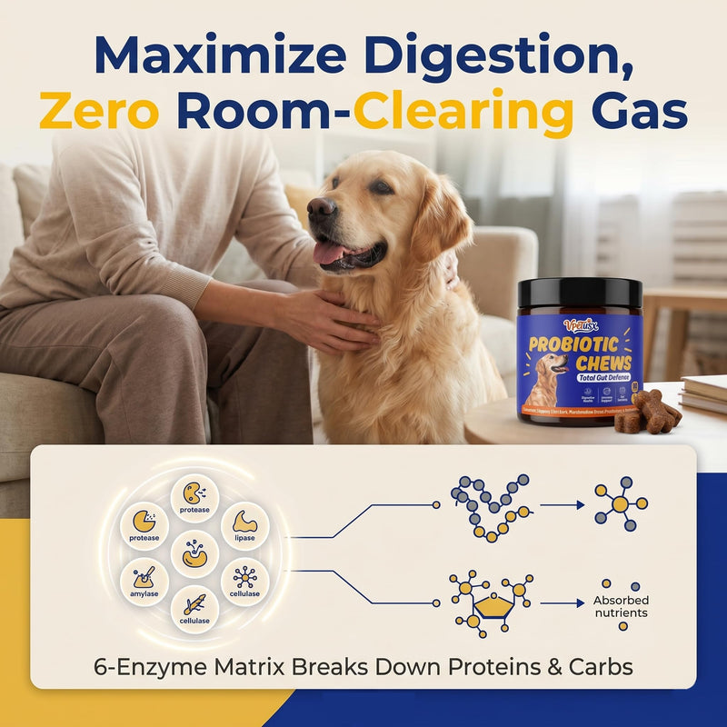 Advanced Dog Gut & Immune Support - Probiotics for Dogs Upset Stomach & Gas Relief with Pumpkin, Slippery Elm,Colostrum & Digestive Enzymes, Duck Flavor