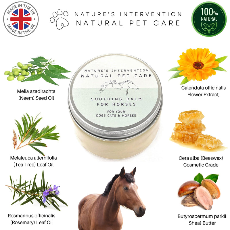 NATURE'S INTERVENTION 100% Natural Soothing Balm for Horses – 100ml – Beeswax, Shea & Cocoa Butter Barrier Balm with Neem & Tea Tree – Weather Protection for Sensitive Equine Skin – Aluminium Jar