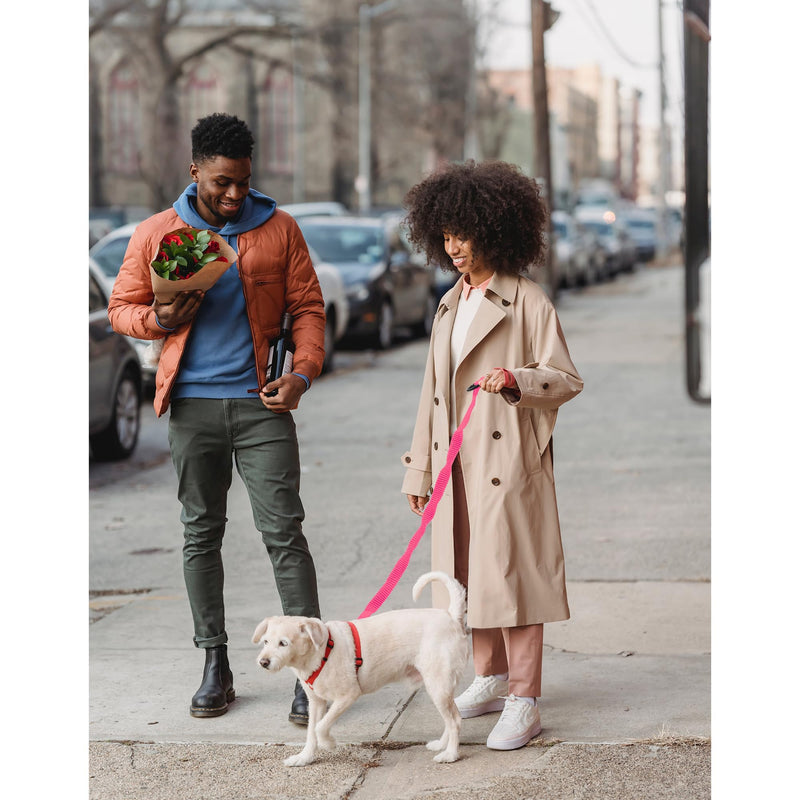 Mile High Life | Bungee Dog Leash | Gentle Pull Training Lead | Soft Comfort Texture | 3-5 Feet | for Dogs/Cats Under 20 lb (Pink) 3-5 feet-Pink - BeesActive Australia