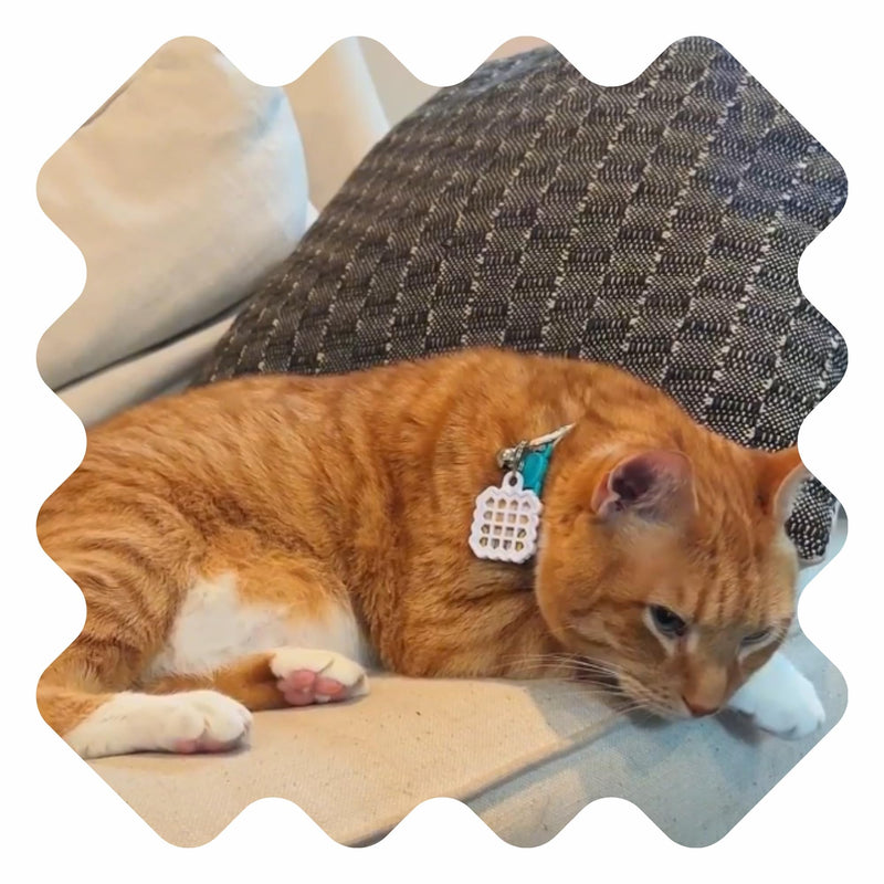 NATPAT Zen Patch Calming Stickers for Cats – Natural Aromatherapy Anxiety Relief for Cats, Non-Toxic Peel-and-Stick Patches with Lavender, Orange & Vanilla Oils - 24 Pack