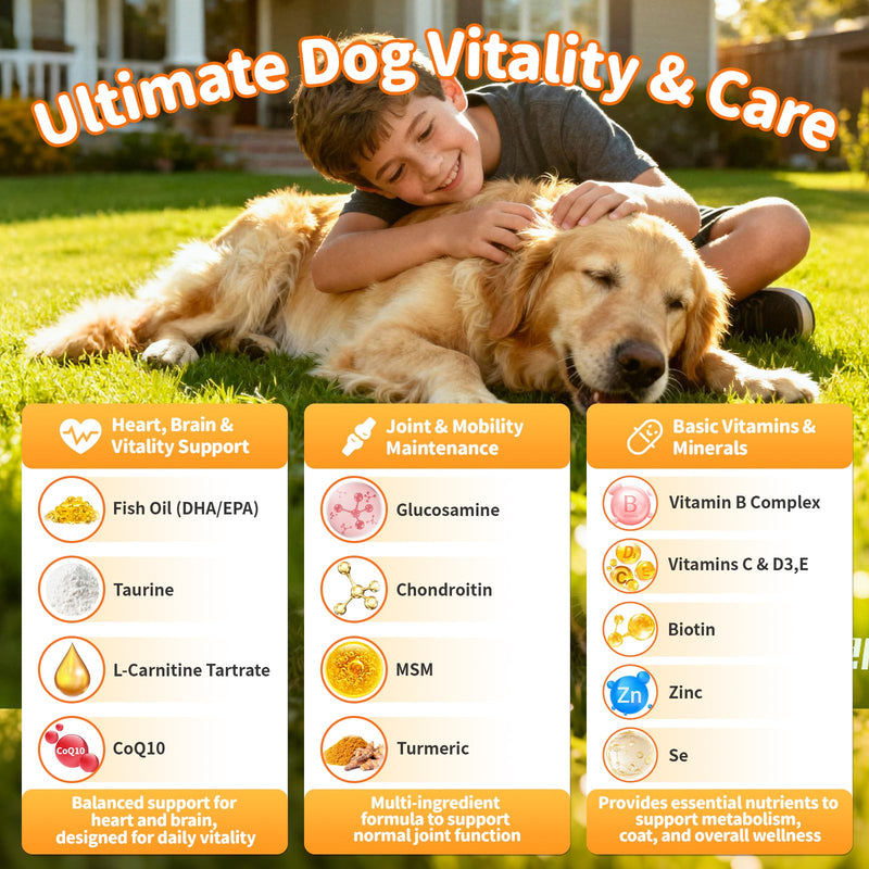 25-in-1 Dog Multivitamin Chews – All-in-One Daily Vitamins & Supplements for Dogs, Joint Support with Glucosamine MSM, Omega-3 Skin & Coat, Gut, Heart & Brain, All Breeds & Ages, Chicken, 60 Ct 60 Count