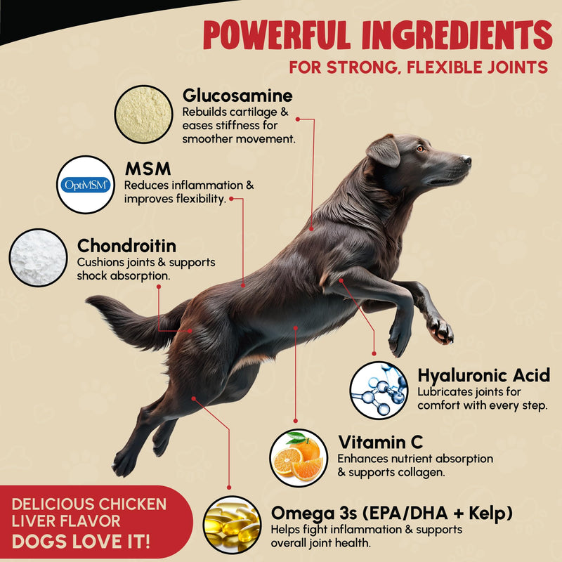 Veterinary Grade Hip and Joint Supplement for Dogs – 40 Scoops Ultimate Strength Dog Supplements for Advanced Mobility, Joint Comfort, Cartilage Health, Flexibility – Liver Flavored