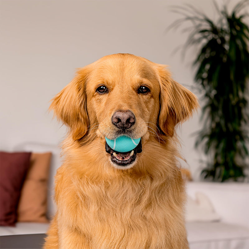 Playology Squeaky Chew Ball for Dogs | Engaging All-Natural Peanut Butter Scented Dog Toy for Large to X-Large Dogs 50lbs & up | Squeak, Fetch, and Play! Jumbo - BeesActive Australia