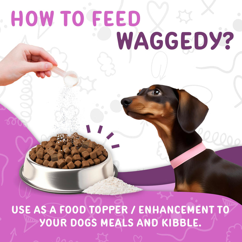 Waggedy Advanced Dog Probiotics Gut and Digestion Food Topper – Probiotic Powder with Digestive Enzymes & Papaya – Gentle Probiotics for Dogs 6+ Weeks – Supports Gut Balance, Comfort & Immune Health 4 oz
