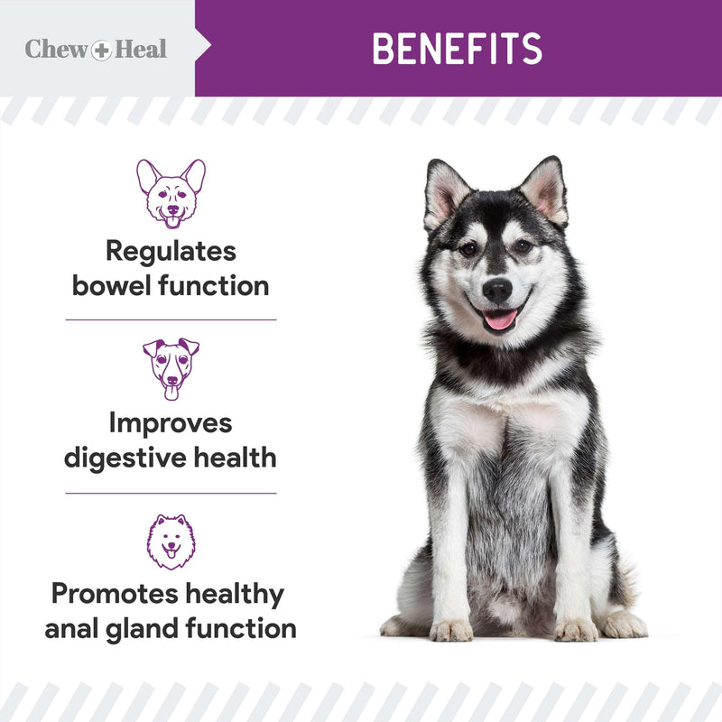 Stop The Scoot Fiber for Dogs - 120 Soft Chews with Pumpkin Powder for Healthy Anal Gland Function - Vet Recommended, Made in The USA 1 Pack (120 Count) - PawsPlanet Australia