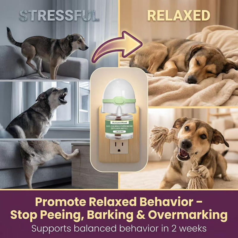 Dog Calming Pheromone Diffuser Kit, Pet Diffuser for Stress Support, Reduces Stress and Promotes Relaxed Behavior, 2 Plug-in & 4 Packs Refill, 120 Day Supply (Non-Toxic, Safe & Inedible), with Light 6 packs - Rocket Diffuser