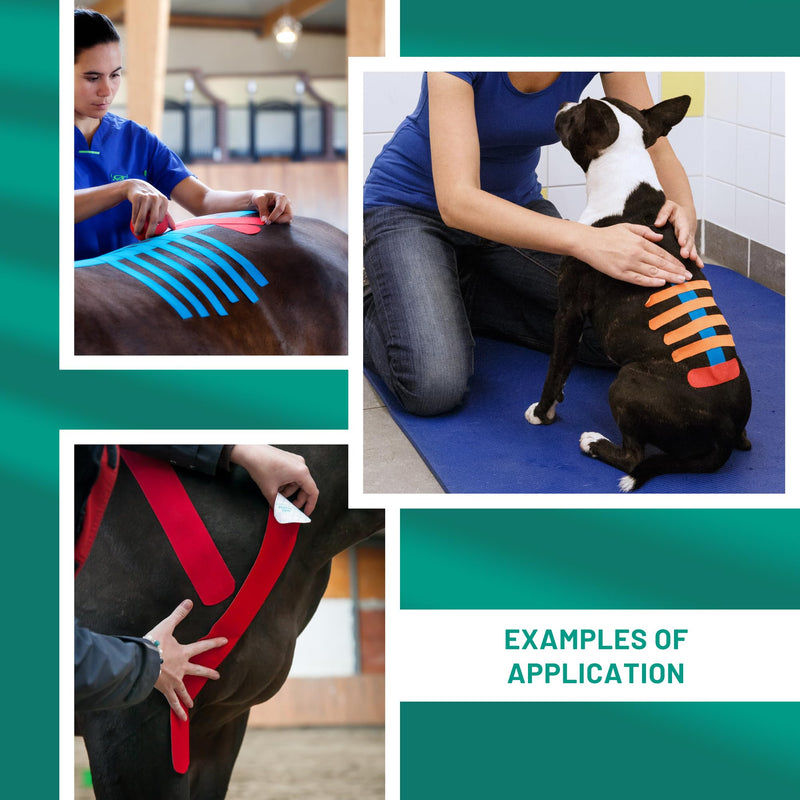 VETKIN VetkinTape Canine & Equine Kinesiology Tape | Veterinary Medical Tape | Vet Wrap for Joint Support & Pet Care | Self Adhesive Bandage Wrap | Pink | 2.4in | (Pack of 1)