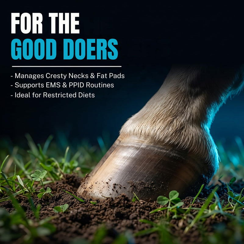LamiAlert | Horse Supplement Suitable for Laminitis Prone Horses | Magnesium Powder with Chelated Zinc & Copper | Forage Balancer for Good Doers | Molasses Free & Low Sugar 250g | 2 Months Supply