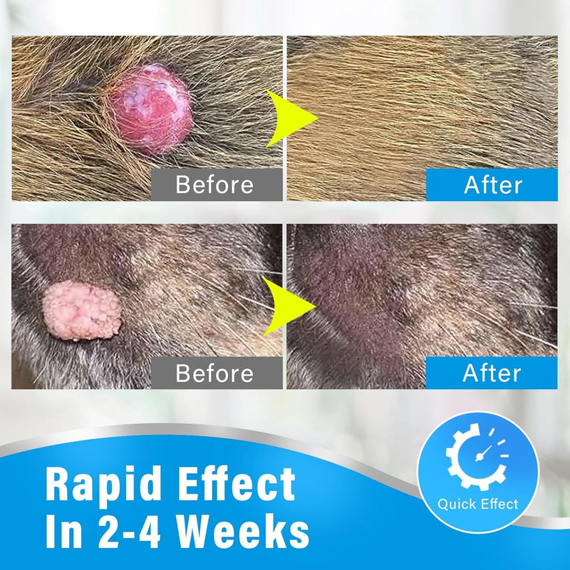 Dog Wart Remover Cream, Natural Dog Skin Tag Remover Treatment, Rapidly Eliminates Skin Tag & Wart Remover for Dogs, No Harm & Pain-Free Dog Warts Removal 1 Pack - BeesActive Australia
