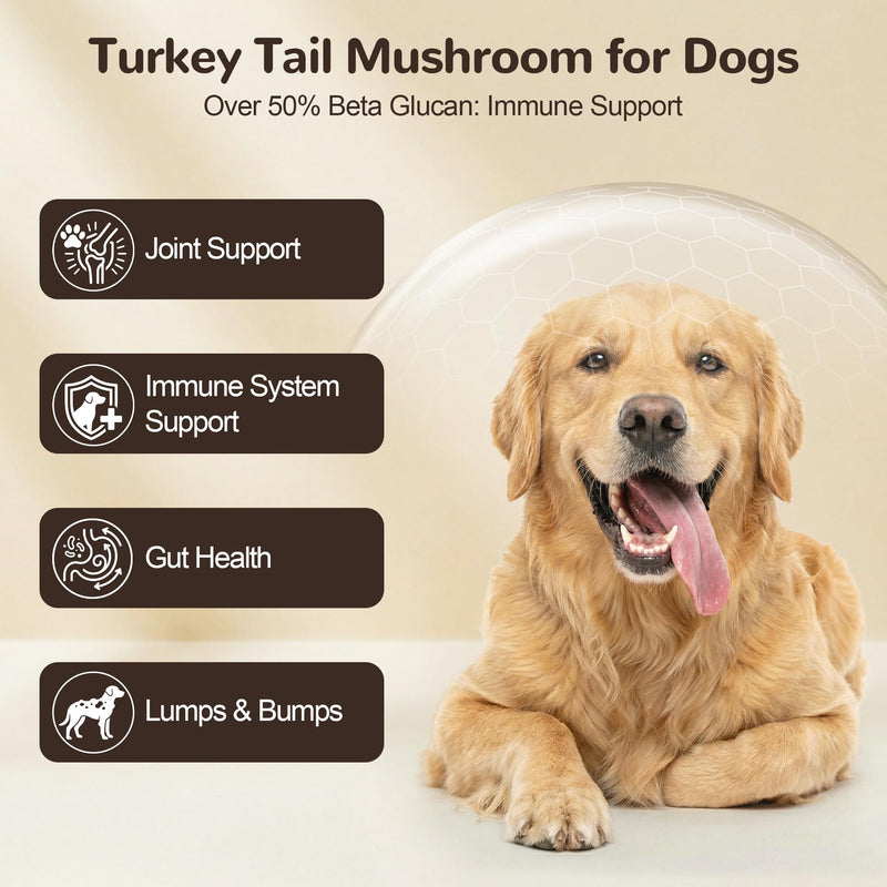 Organic Turkey Tail Mushroom for Large Dogs - Over 50% Beta Glucan - 10-in-1 Mushroom Powder for Immune & Gut Support - Dog Mushroom Supplements for Lumps and Bumps - Chicken Flavor, 200g 200 g